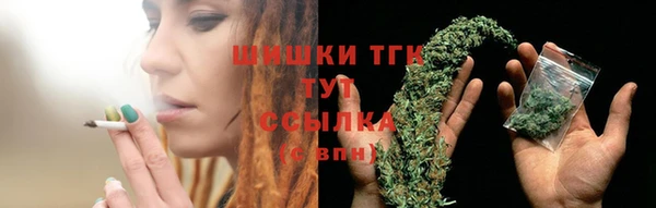 бошки Алексин
